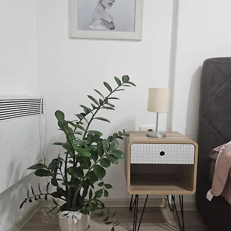 Anastasija Lux 3 Apartment Paracin