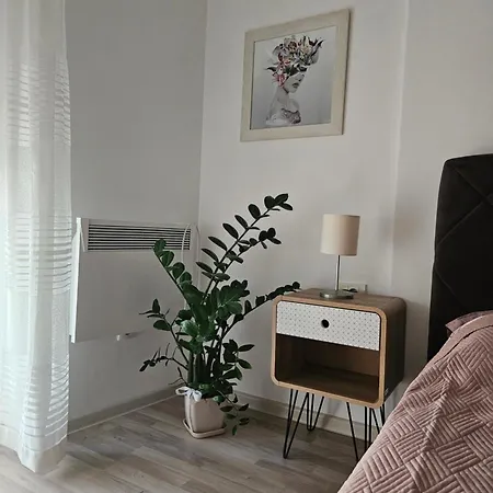 Apartment Anastasija Lux 3 Paracin
